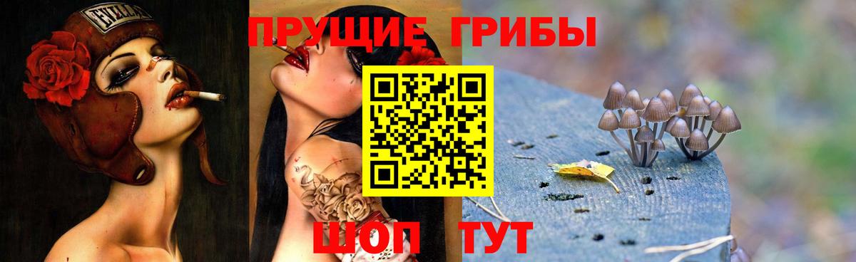 Галлюциногенные грибы Psilocybe Тавда