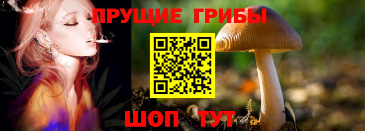 Псилоцибиновые грибы мухоморы  продажа наркотиков  Тавда  Вход с VPN 